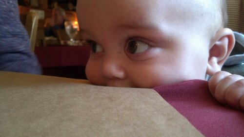 2012-11-21_13-02-52_130.jpg image