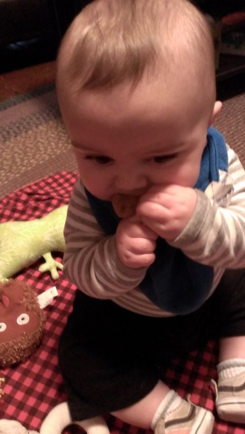 Chewing on something random.