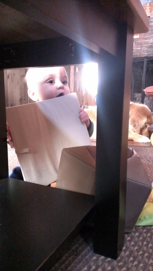 Breaking down his toy box.