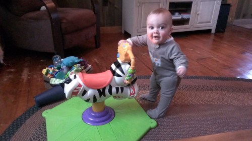 His new zebra. Good for pulling up practice!