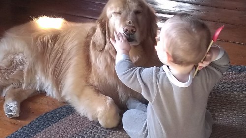 A very patient doggie.