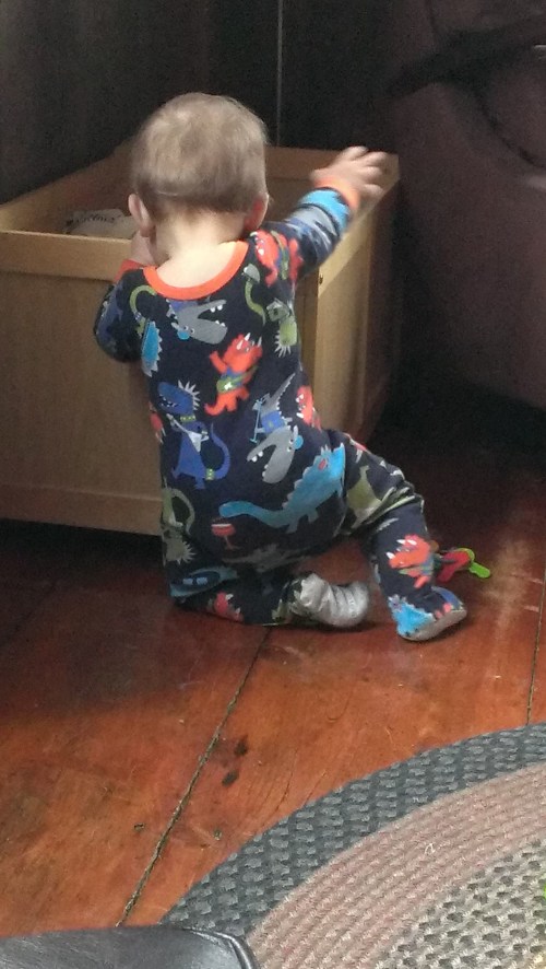 I have to stack the toys in the corner so he can reach them, but boy, he loves the challenge!