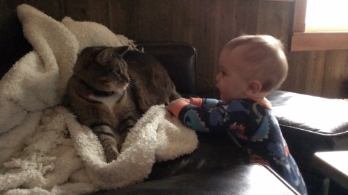 The cat has no personal space according to G