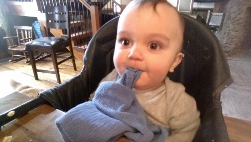 Eating hand towels for dinner. Silly boy.