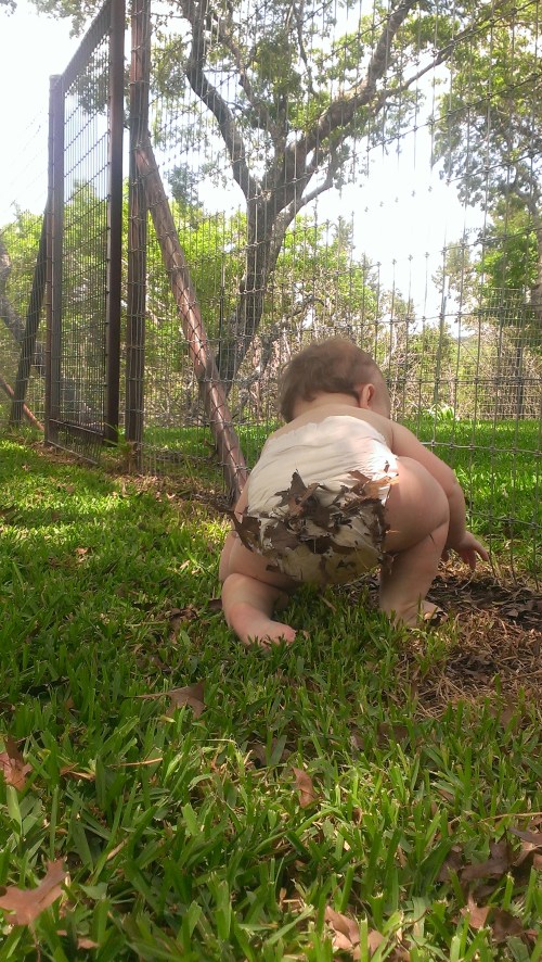 Gives the term "dirty diaper" a new meaning. 