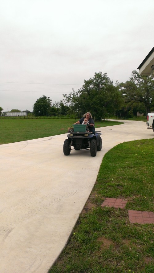 Aunt Marla took grey on the ATV!