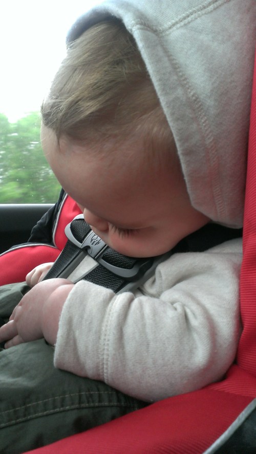 All tuckered out after a day at the ranch