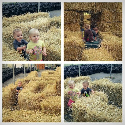 CYMERA_20130903_205739.jpg image